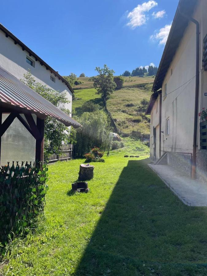 Casa Anastasia - Moieciu De Sus Моєчу-де-Сус Екстер'єр фото